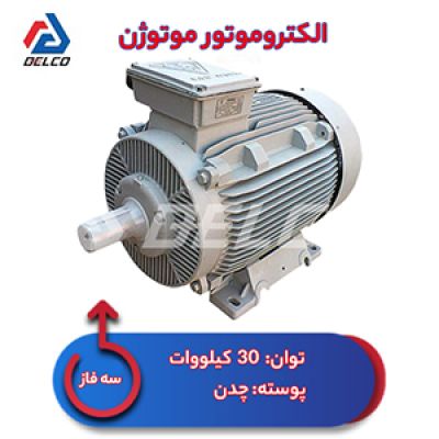 الکتروموتور 30 کیلووات سه فاز پوسته چدن موتوژن