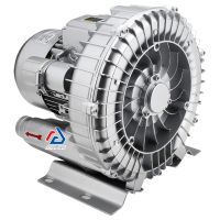 ساید چنل گورویی