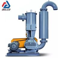 روتس بلوئر گلدن تک