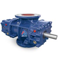 روتس بلوئر ارزن